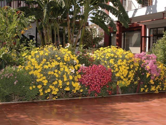 Side Elis Hotel Luaran gambar